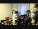 【エラの神様】タイムマシン【叩いてみた】