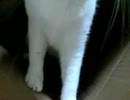 おさまりたい。