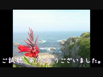 ２すとことこ漫遊記。　  　　海を目指そう