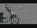 カブ充しよう！Part1 動画を撮ってみよう