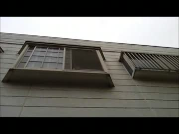 ただいまー！見上げると・・・あれは・・ぬ・・こ・・なのか！？