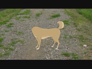 【猫になりたいm@ster】我那覇くん 猫を飼う