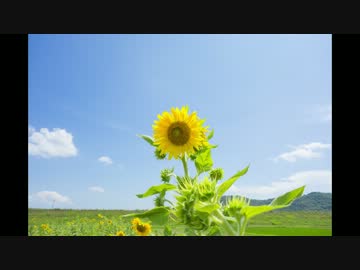 憧れは北海道ツーリングだからして　その5