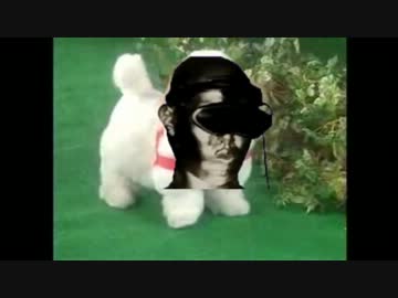 愛犬ロボ「戊辰」