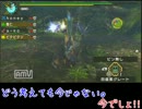 【見た目は大人女子】MHP3rd ～7狩目～【中身はこじらせ】