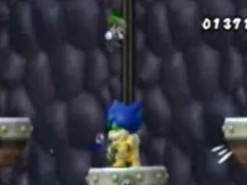 【2人実況】 画面半分にして左右でマリオ part14