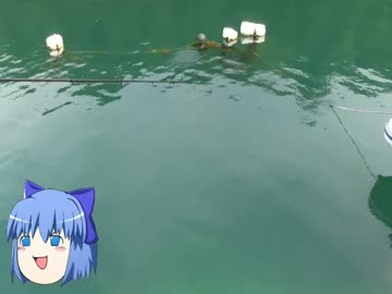 ちょっと釣りに3.mp4