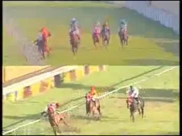【世界の競馬場から】競馬と思いきや格闘技と思いきやサーカスだった