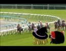 ゆっくり霊夢が競馬を一からはじめたい　2R
