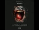 MicRoCheep, Mollo, L.A.W. (UK) - Terminal 9.9 (Original Mix)