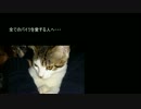 【GC-XA1】車載いくぜ！予告編【Xperia】