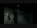 記念撮影しませんか？【零 ～月蝕の仮面～実況ﾌﾟﾚｲ】part24