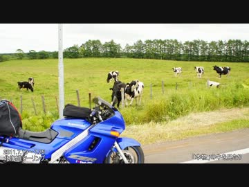 【ZZR250】小粒ツアラーとの旅路【最後の動画】