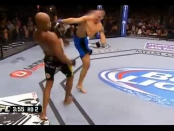 【MMA】 2013年上半期ベストKO 【TOP10】