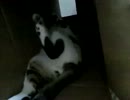 何としてもおさまりたい。