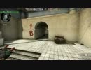 violetch L4D全一がCS：GO編 part4