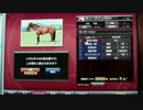 スターホース　レジェンドモード　古馬ディープインパクト前編