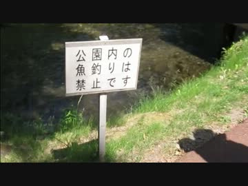 ろくろーとラビオの初めてのマスツーリング　京極噴出し公園満喫編