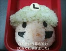 キャラ弁を作ってみた～緑のあの人～