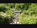 2013.7.20 真夏の本流＆支流