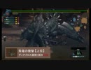 どきどきわくわくMH実況【Part4】