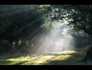【吹奏楽】隠された空き地