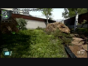 【COD:BO2】サーチ&デストロイ混合　レイド番外編スカイプ有【PS3】