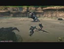 【MHF】第66回韋駄天杯【特異】雪獅子討伐(弓)2鯖2位