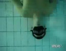 アクアリング少年