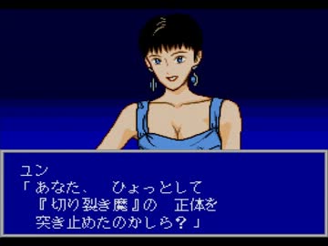 [PCE]オーロラクエストプレイ動画08