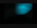 【雪歌ユフ】ユラギ【UTAUカバー】