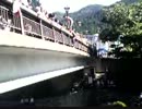 新橋飛込み in 郡上八幡