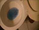 入れ歯用の洗剤をトイレに流してみた２