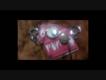 実験動画