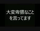 絶望的な４人のドライビングテクニック[マリオカートwii]part7