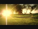 Shadows Chasing Ghosts - Sunlight