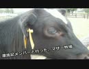 【実況】３人によるセルフフルボイス 漂流記 Part.17