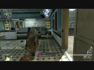 迫真FFA部！ポジタンクと化したひで.bo2