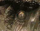 【暑いから】寝る前に、怖いノベルゲームを朗読する【実況】part10