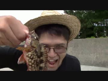 【前】海釣り初めての僕達は形から入りヒトデを釣る【V.A.P.S_Bだっしゅ】