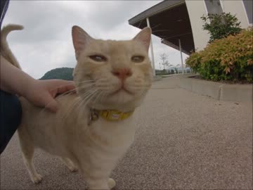 ［バイクに恋、しました]　その１　～アイスが溶ける夏～