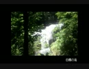 滝動画（動画上げテスト）