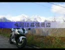 無駄にCBR海苔