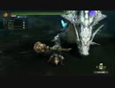 【MH3G】　海と空のMH実況　【part　21】