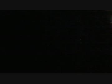 【後面展望】宇都宮ー郡山④【寝台特急･北斗星】