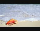 【字幕プレイ】海のぬし釣り 宝島に向かって　メインシナリオ -12-