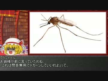 ゆっくり霊夢とやる夫が学ぶ 昆虫大百科 part6