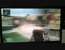【COD:BO2】未知との遭遇【ヘルストームバグ？】