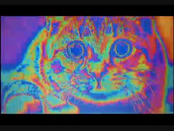 Psychedelic Cats