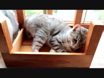 ぬ海の毒に冒されても、なおぬ海と共に生きるというのか。